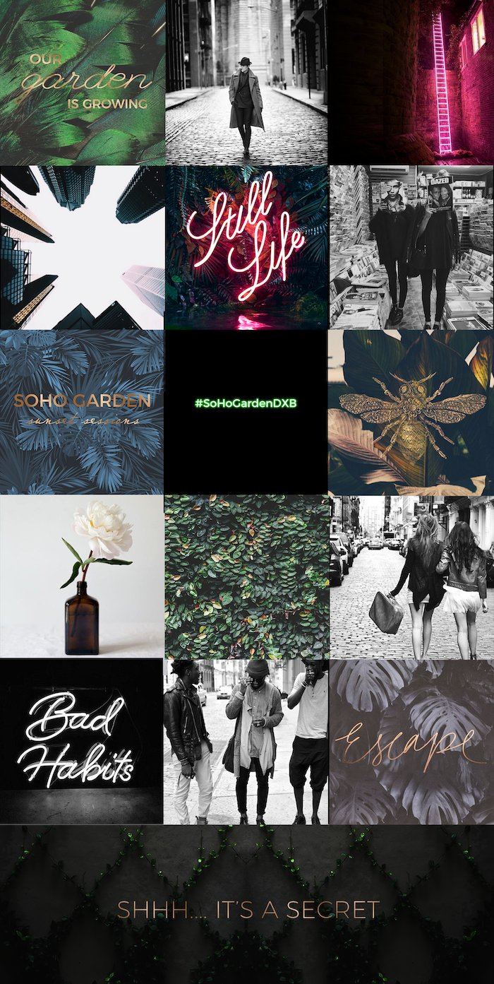 Brand & Launch