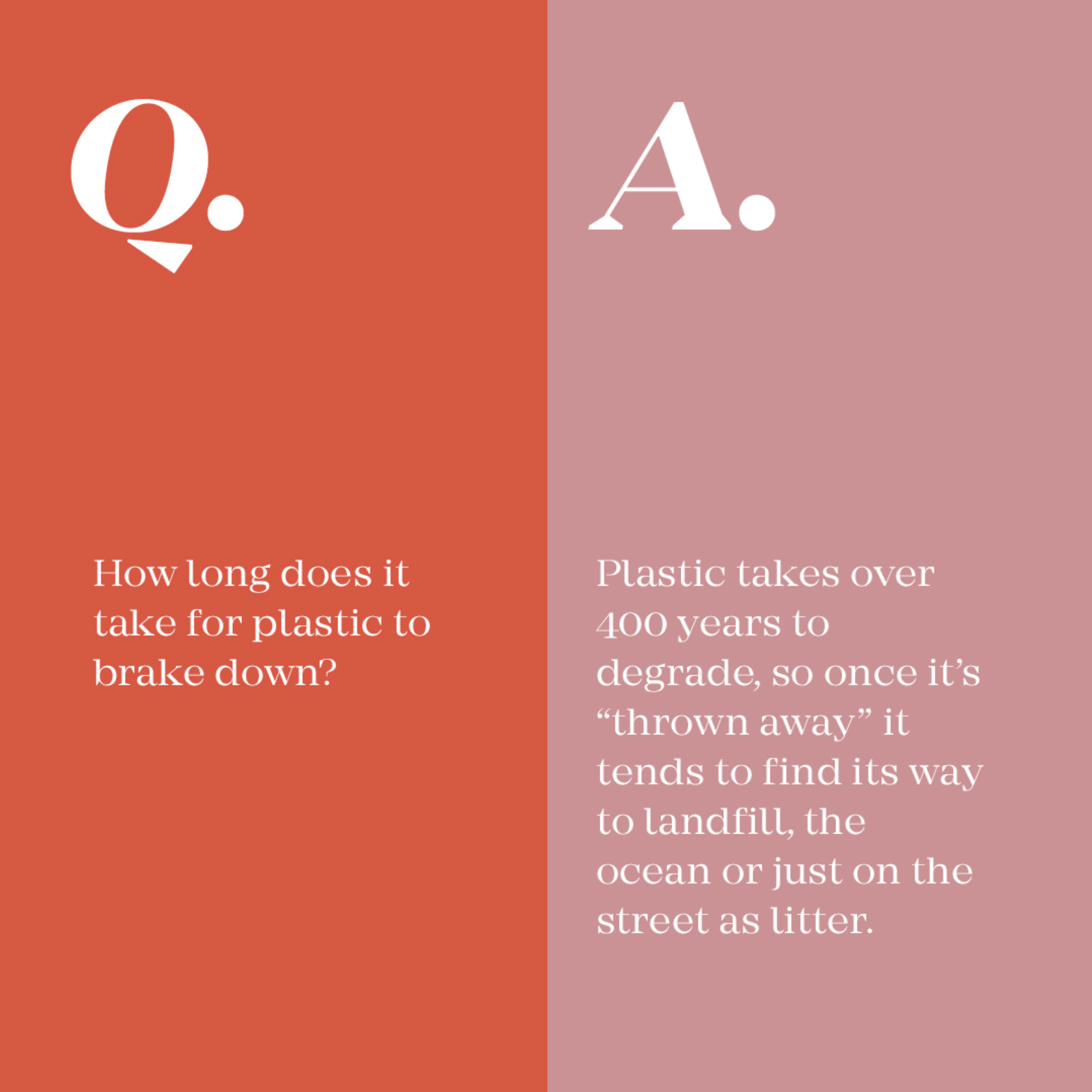 Wellth — Q&A — sustainability education