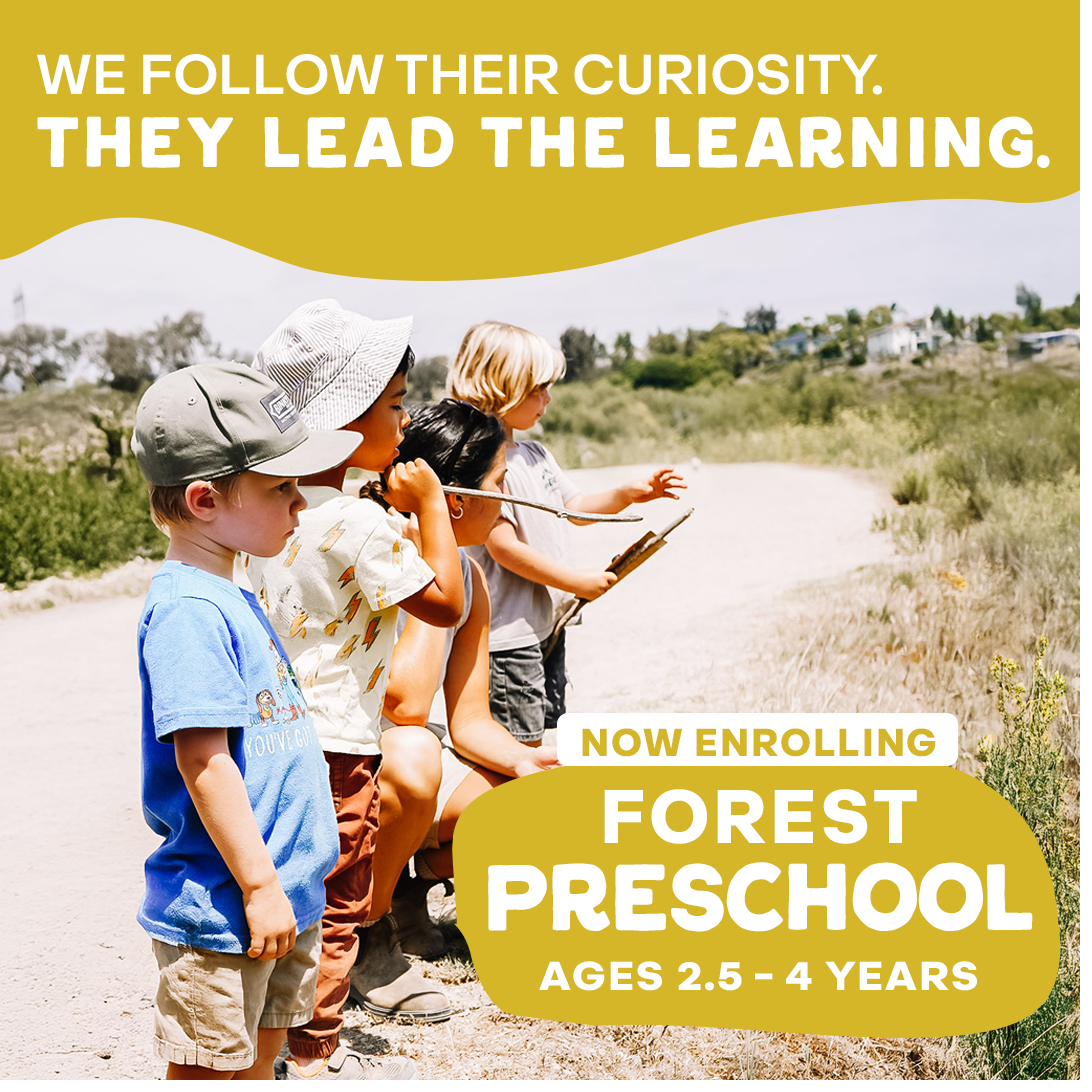 They lead the learning