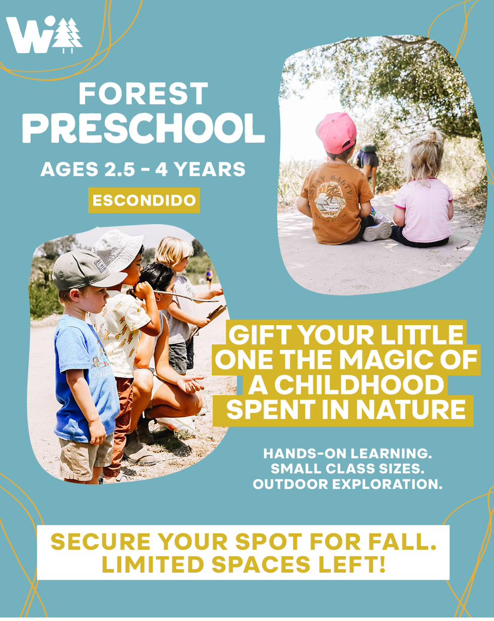 Escondido preschool flyer