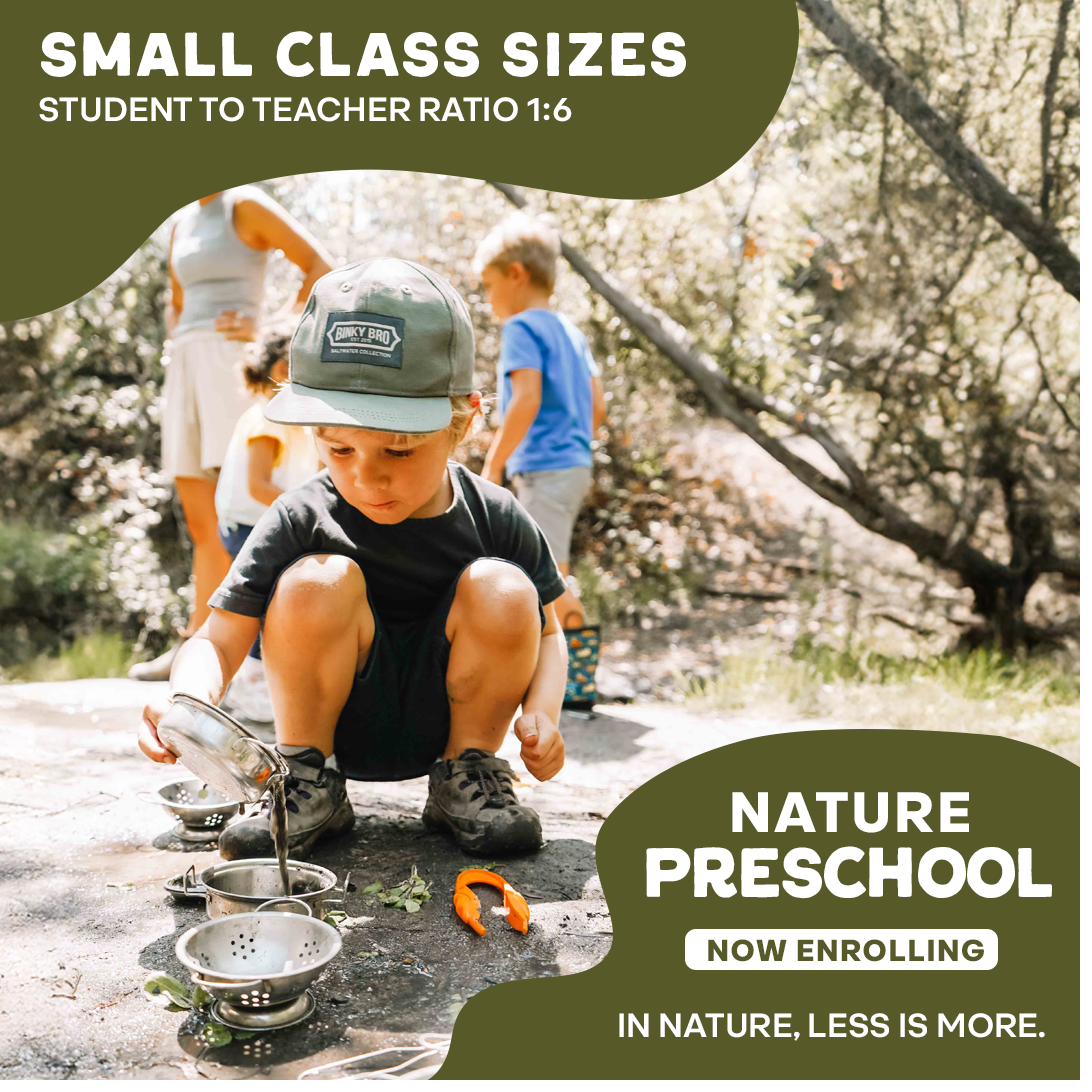 Nature preschool Meta ad