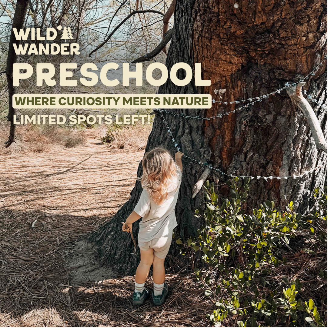 Wild Wander Forest School — Nature-based school · brand, website, forms & print